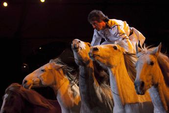 'Cavalli a Roma', al via nuovo format con regia Veronafiere